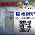 Future Boiler Manufacture.jpg