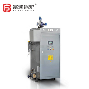 Vertical electric steam boiler